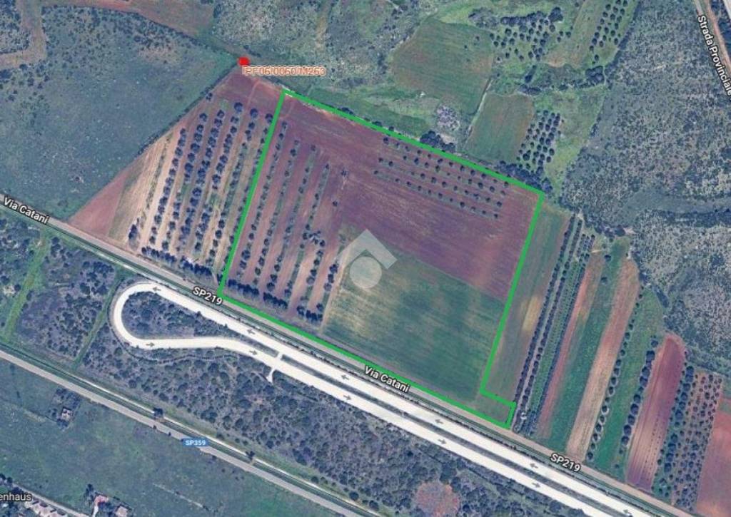 immagine annuncio 4 di 9