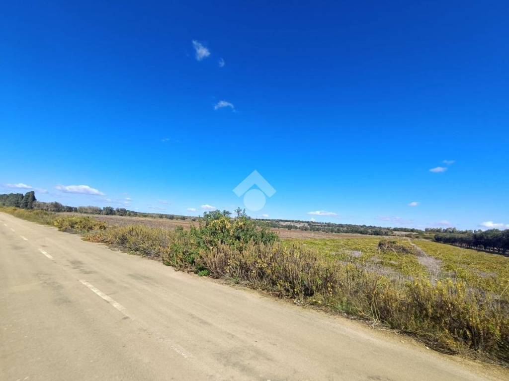 immagine annuncio 6 di 9