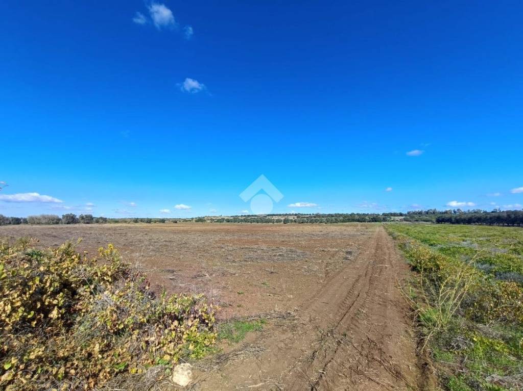 immagine annuncio 7 di 9