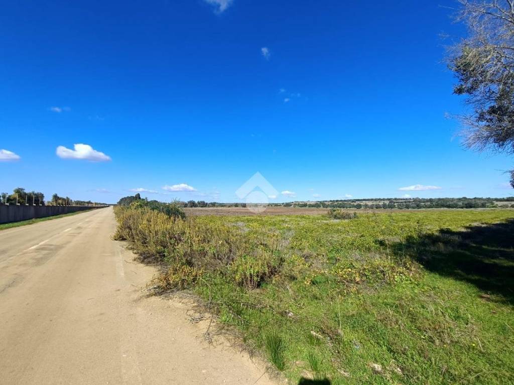 immagine annuncio 8 di 9