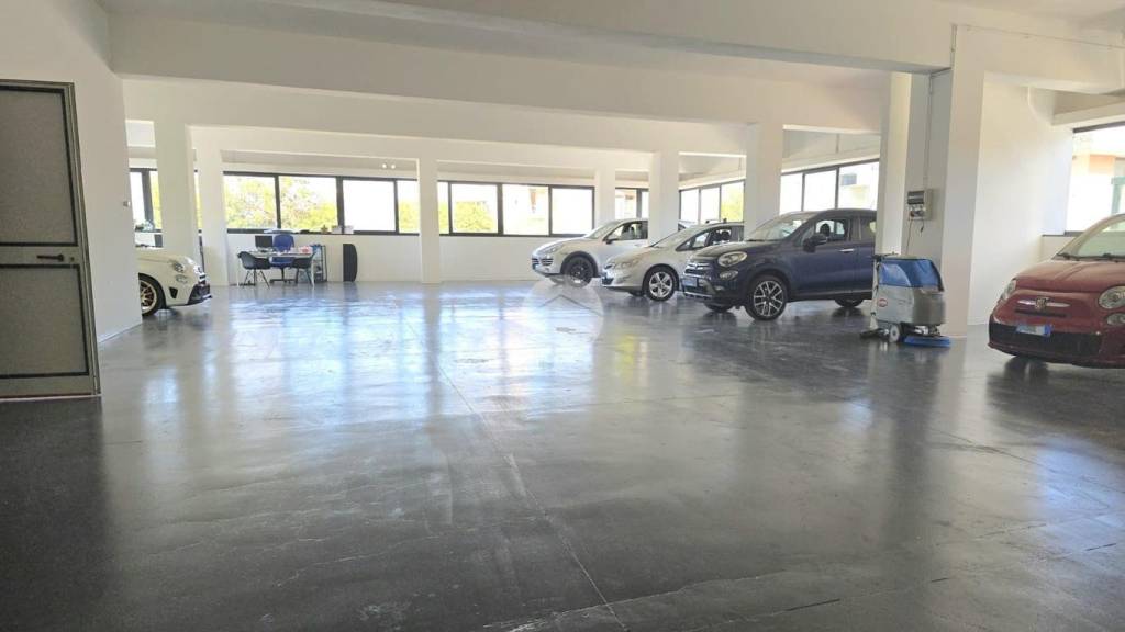 immagine annuncio 3 di 15