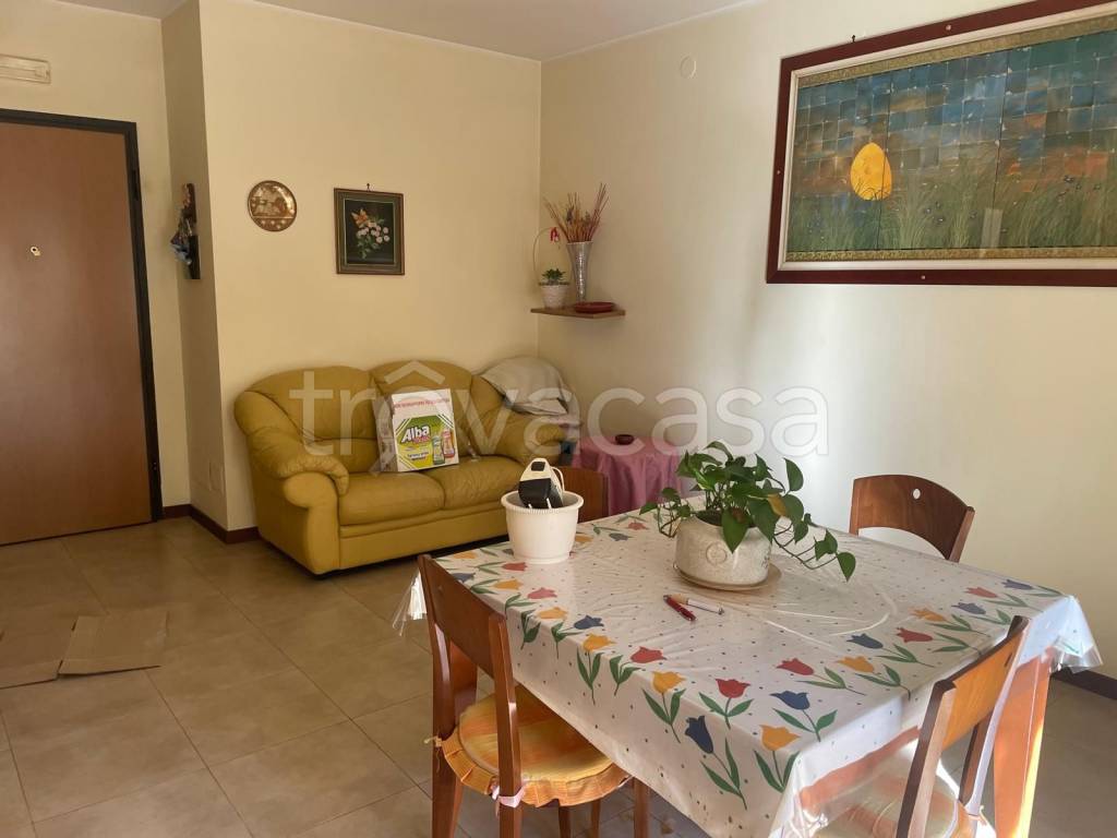 immagine annuncio 4 di 8