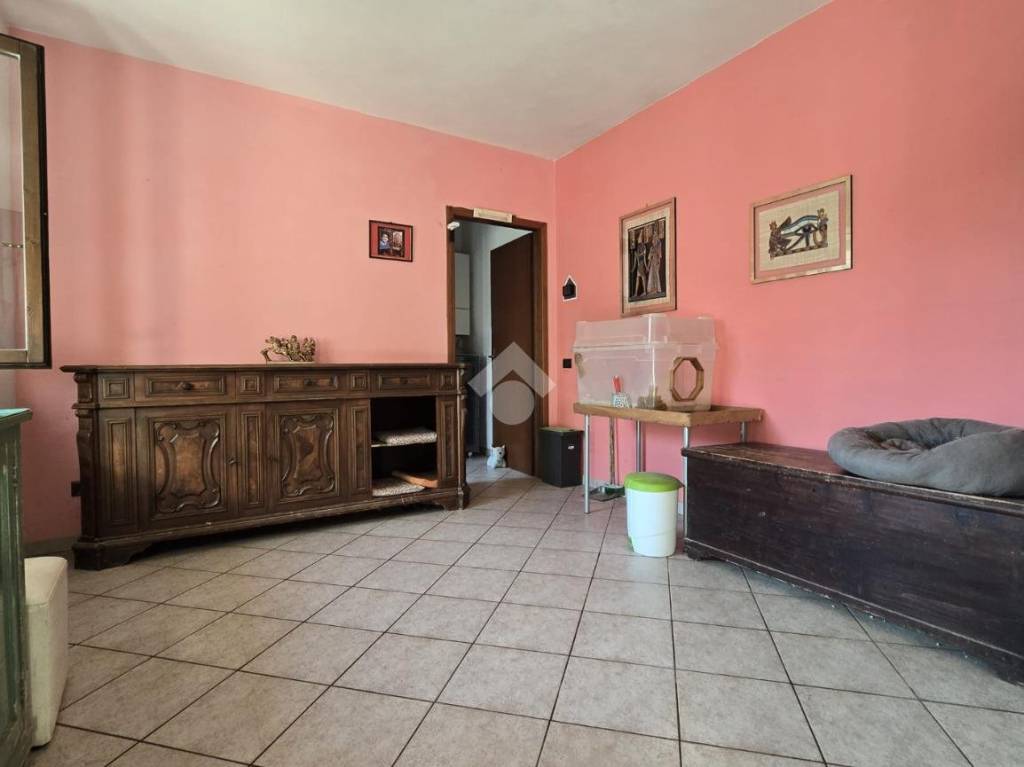 immagine annuncio 1 di 14