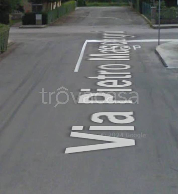 immagine annuncio 3 di 11