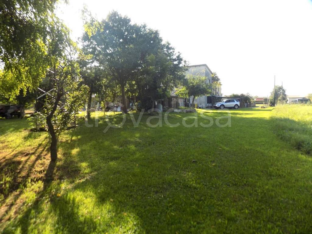 immagine annuncio 1 di 14