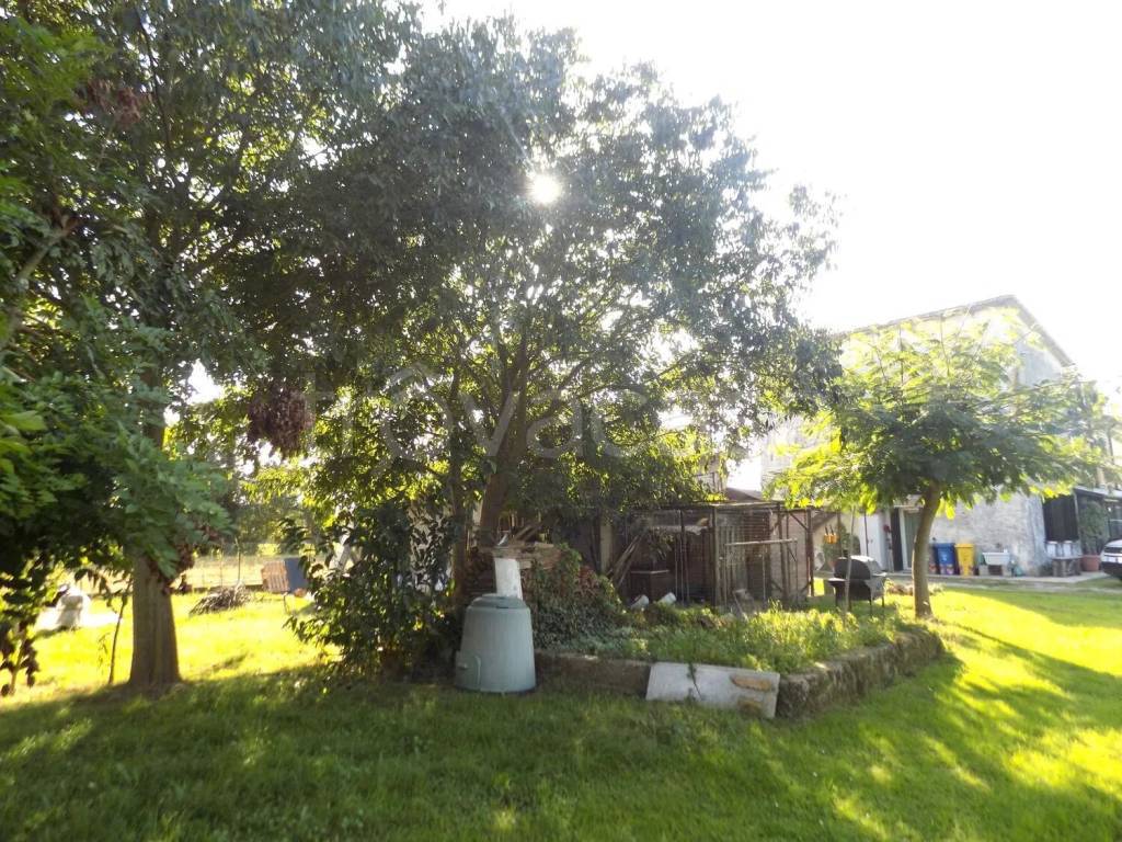 immagine annuncio 2 di 14