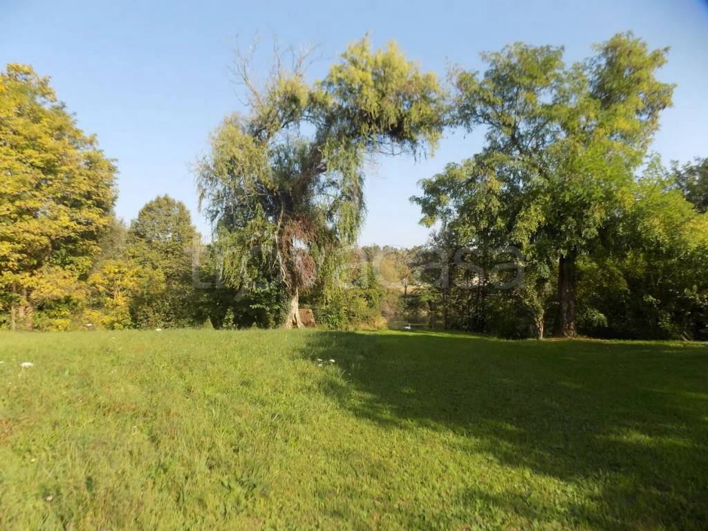 immagine annuncio 10 di 14