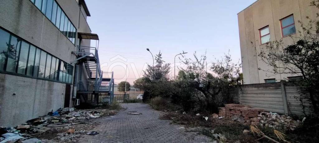 immagine annuncio 3 di 13