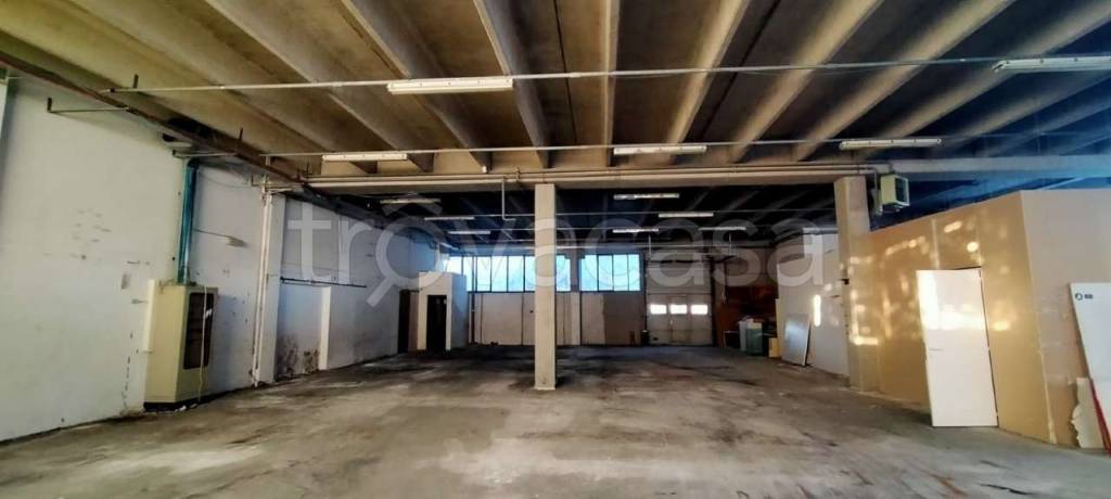 immagine annuncio 4 di 13