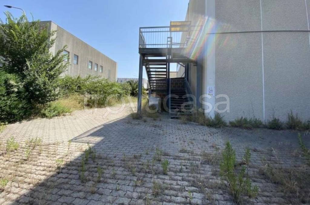 immagine annuncio 5 di 13