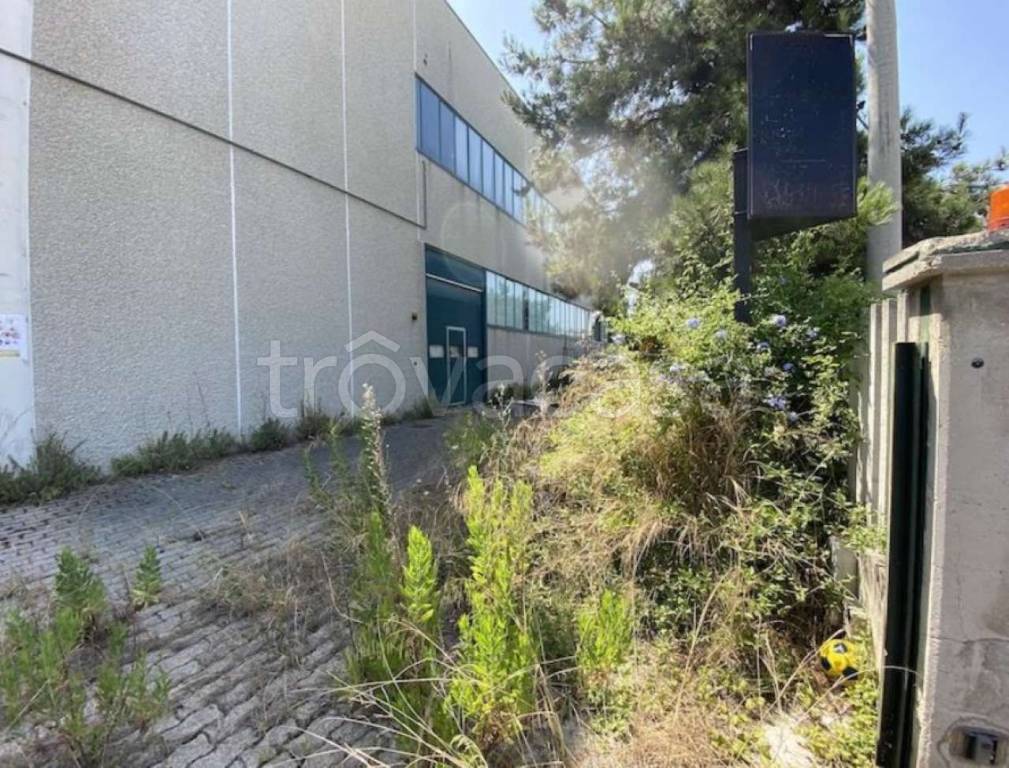 immagine annuncio 6 di 13