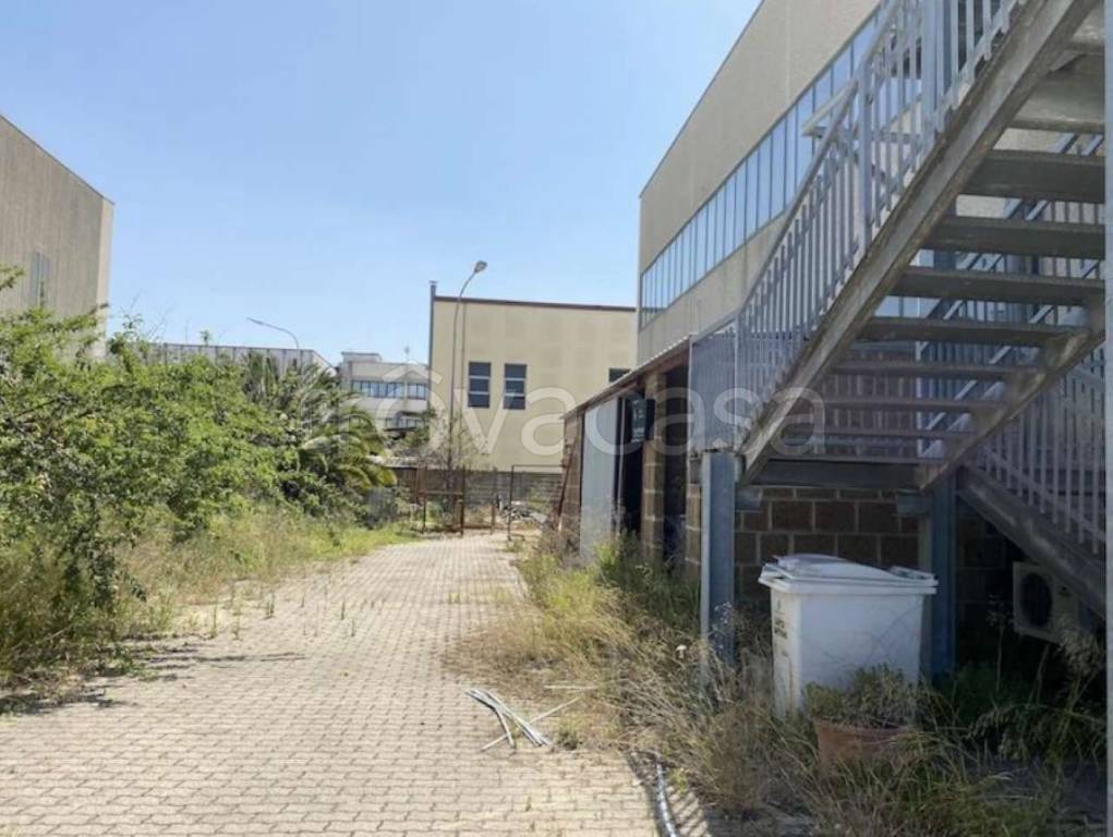 immagine annuncio 7 di 13