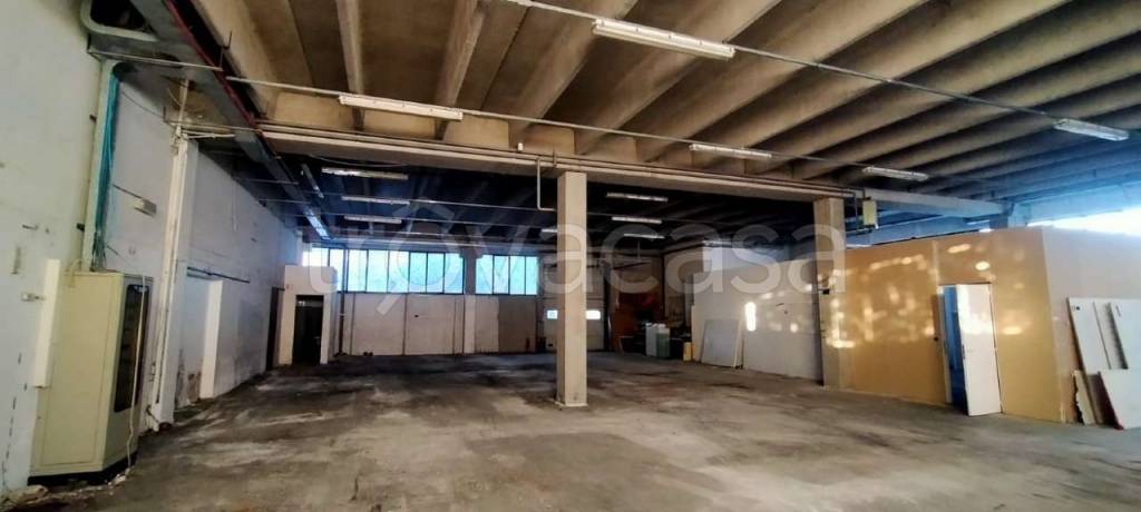 immagine annuncio 11 di 13