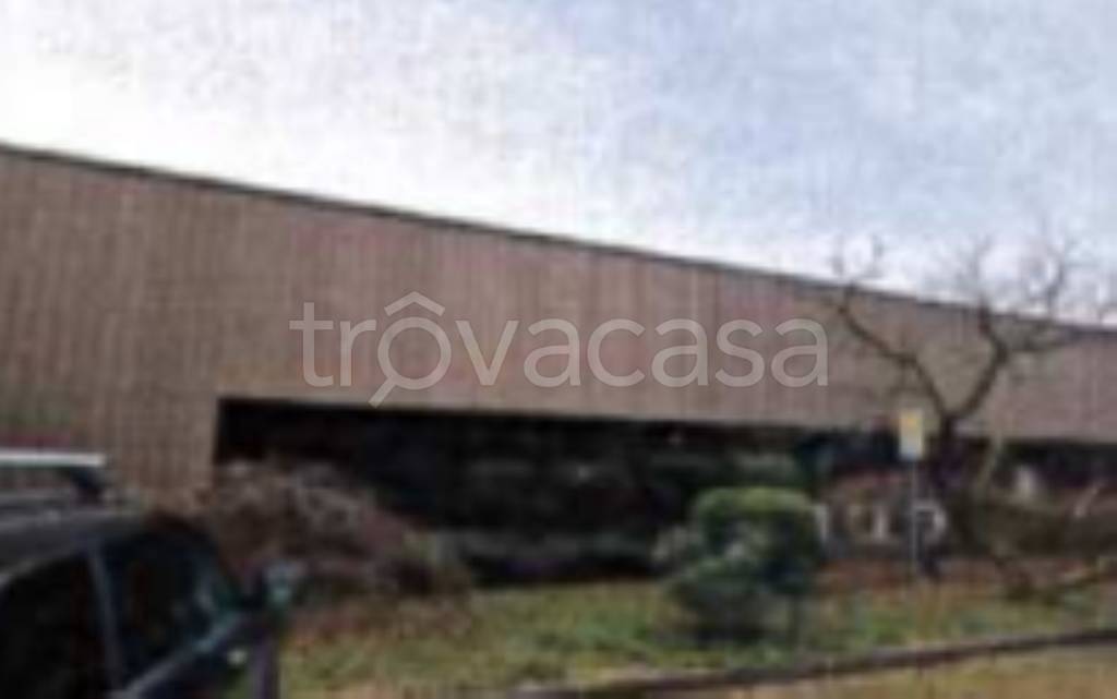 immagine annuncio 5 di 12