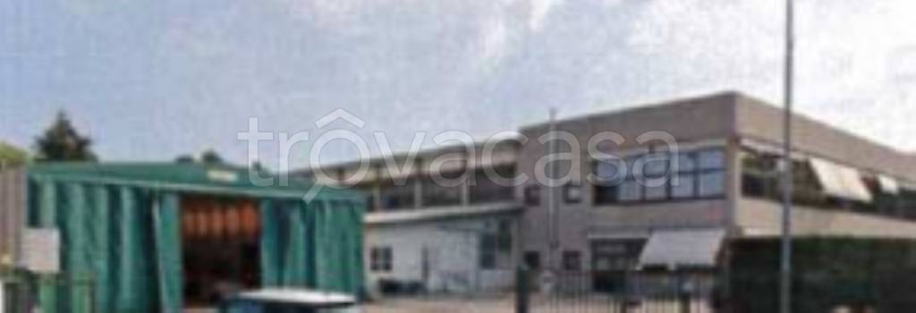 immagine annuncio 6 di 12