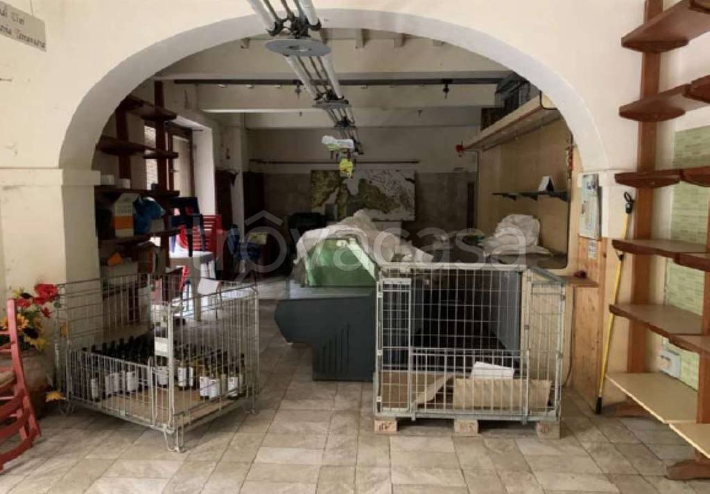 immagine annuncio 4 di 7