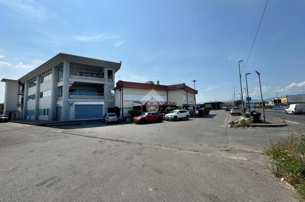 immagine annuncio 1 di 14