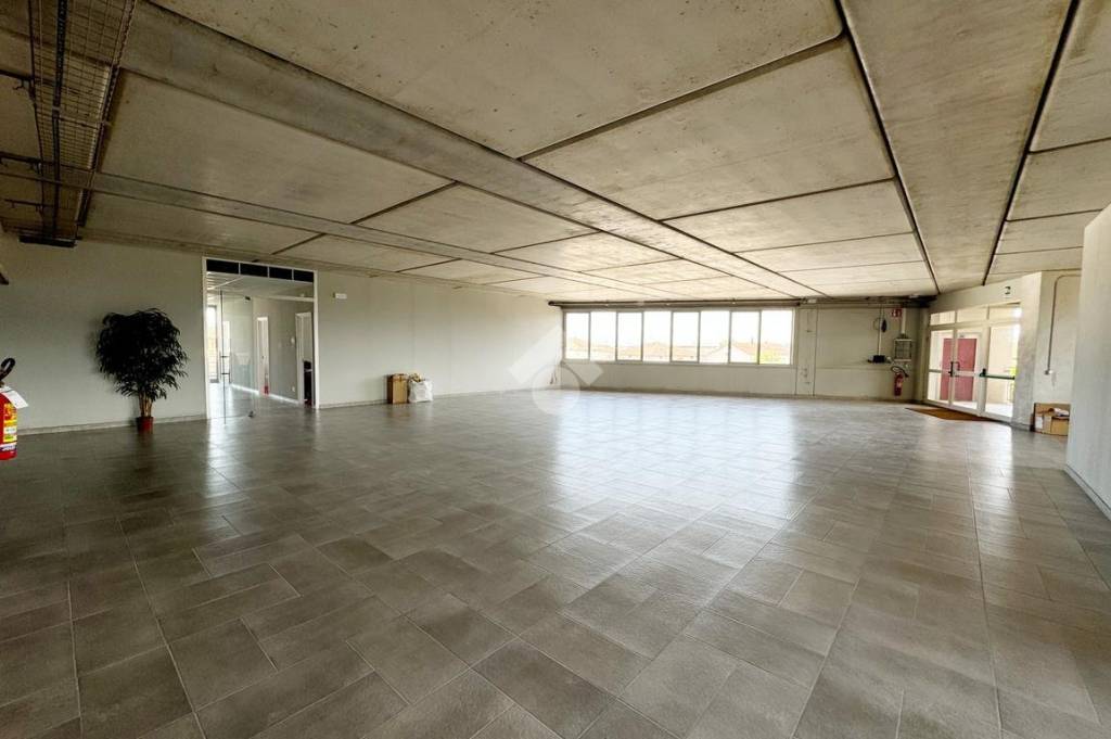 immagine annuncio 7 di 14