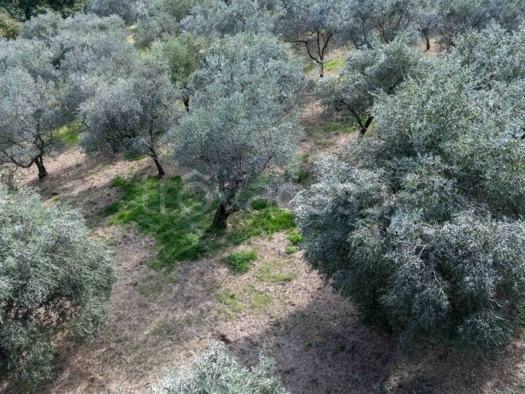 immagine annuncio 6 di 7