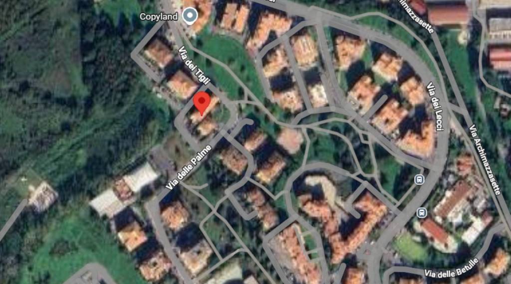 immagine annuncio 10 di 13