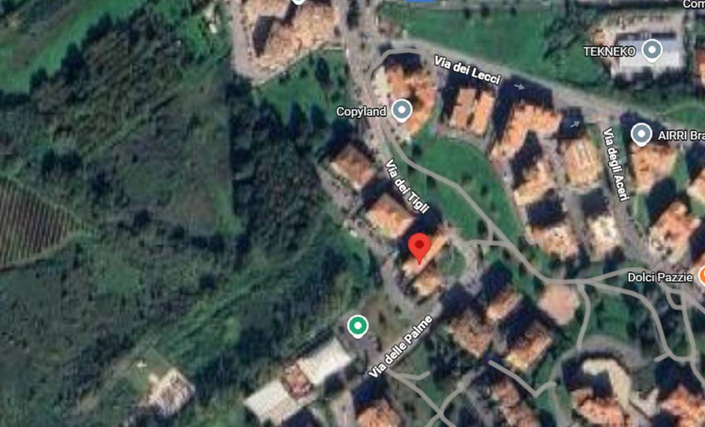 immagine annuncio 11 di 13