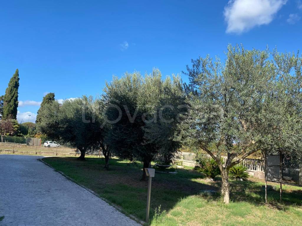 immagine annuncio 4 di 9