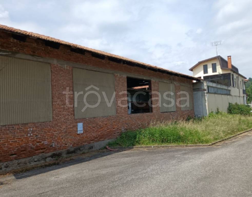 immagine annuncio 4 di 9