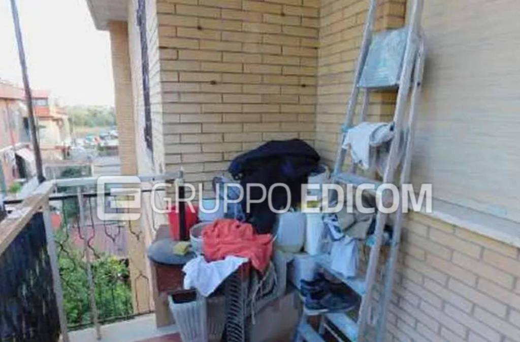 immagine annuncio 8 di 12