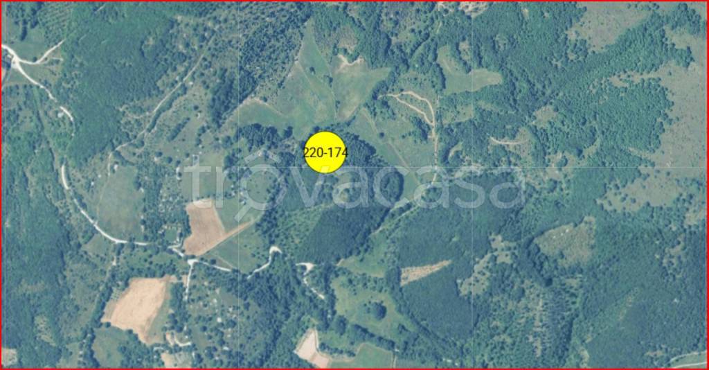 immagine annuncio 11 di 12