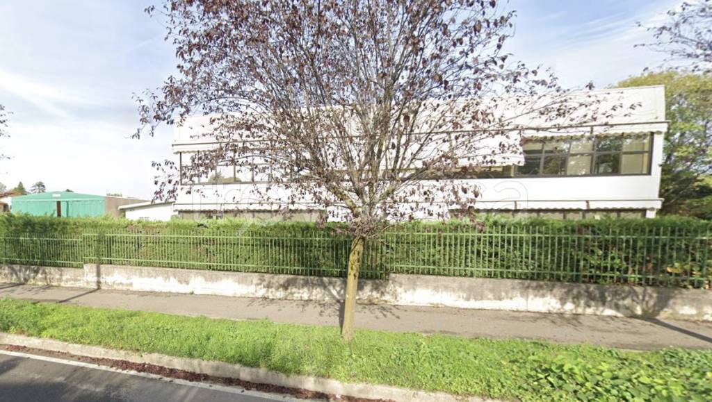 immagine annuncio 2 di 14