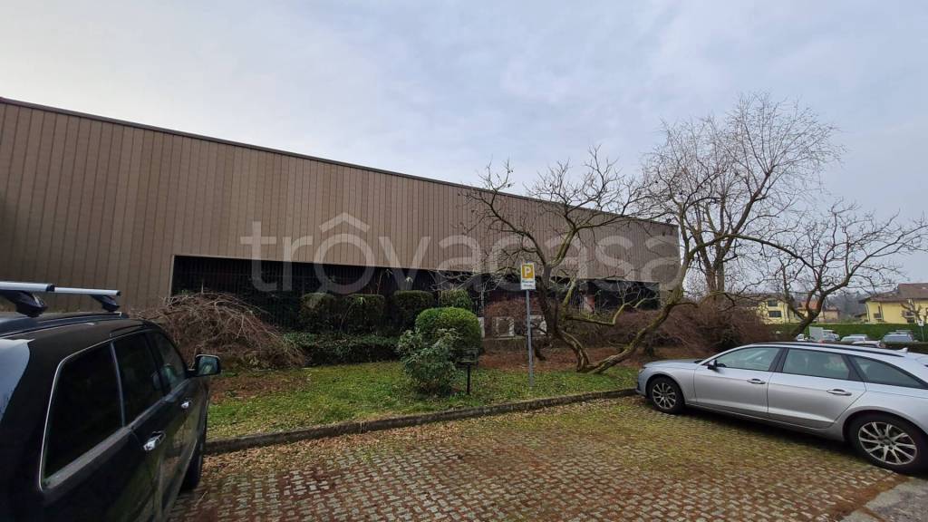 immagine annuncio 5 di 14