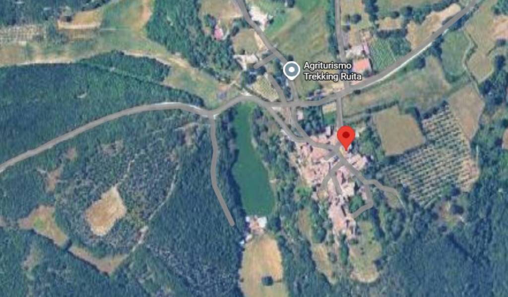 immagine annuncio 9 di 14