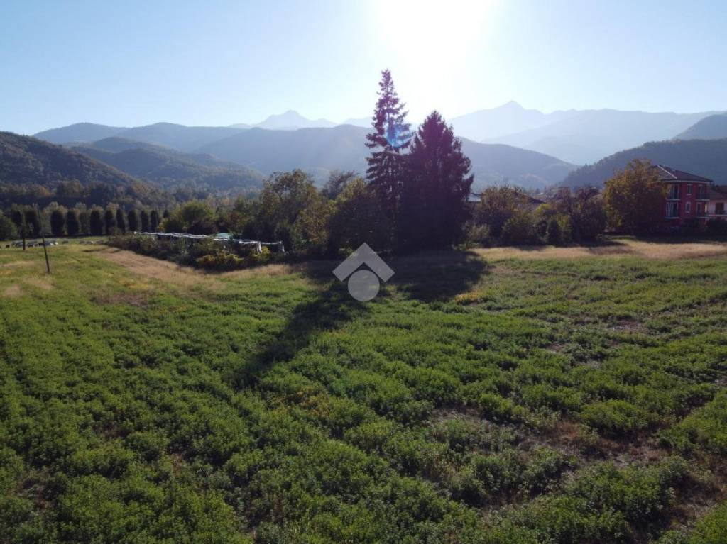 immagine annuncio 4 di 6