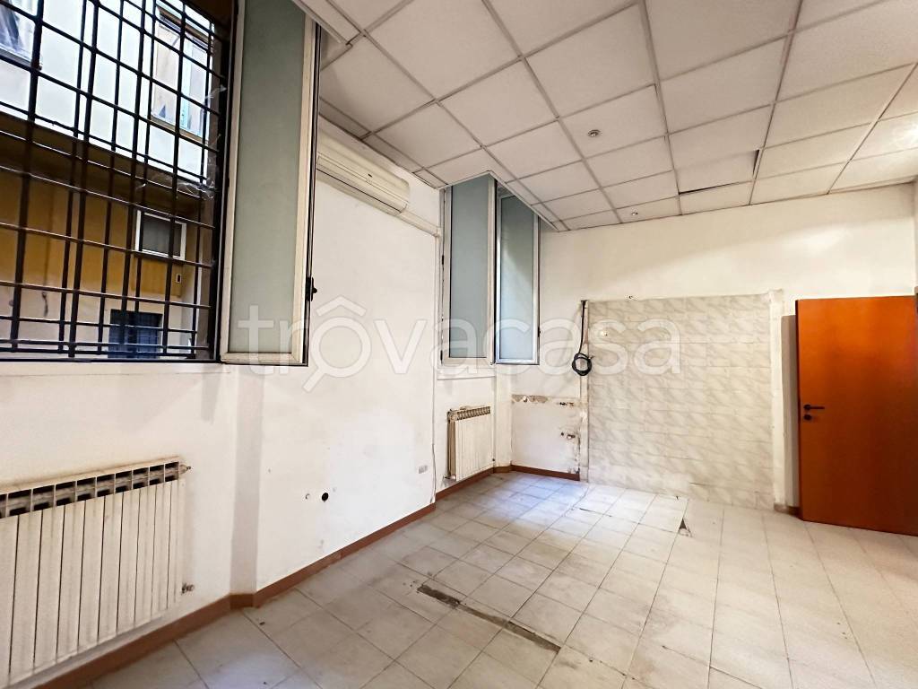 immagine annuncio 7 di 14