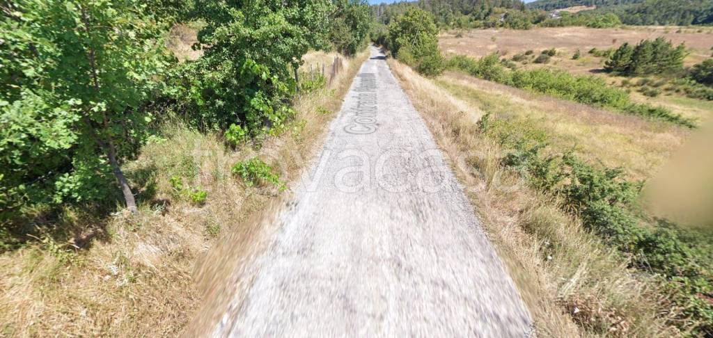 immagine annuncio 4 di 8