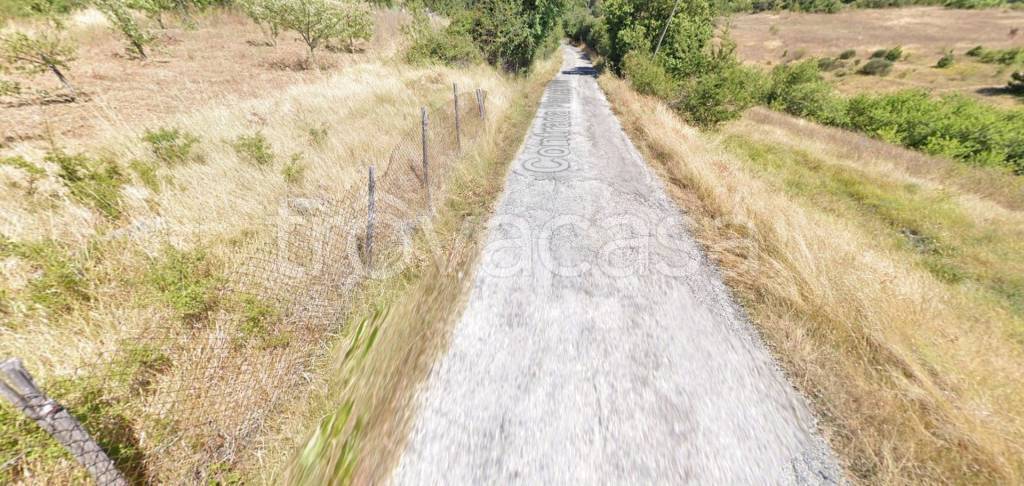 immagine annuncio 5 di 8