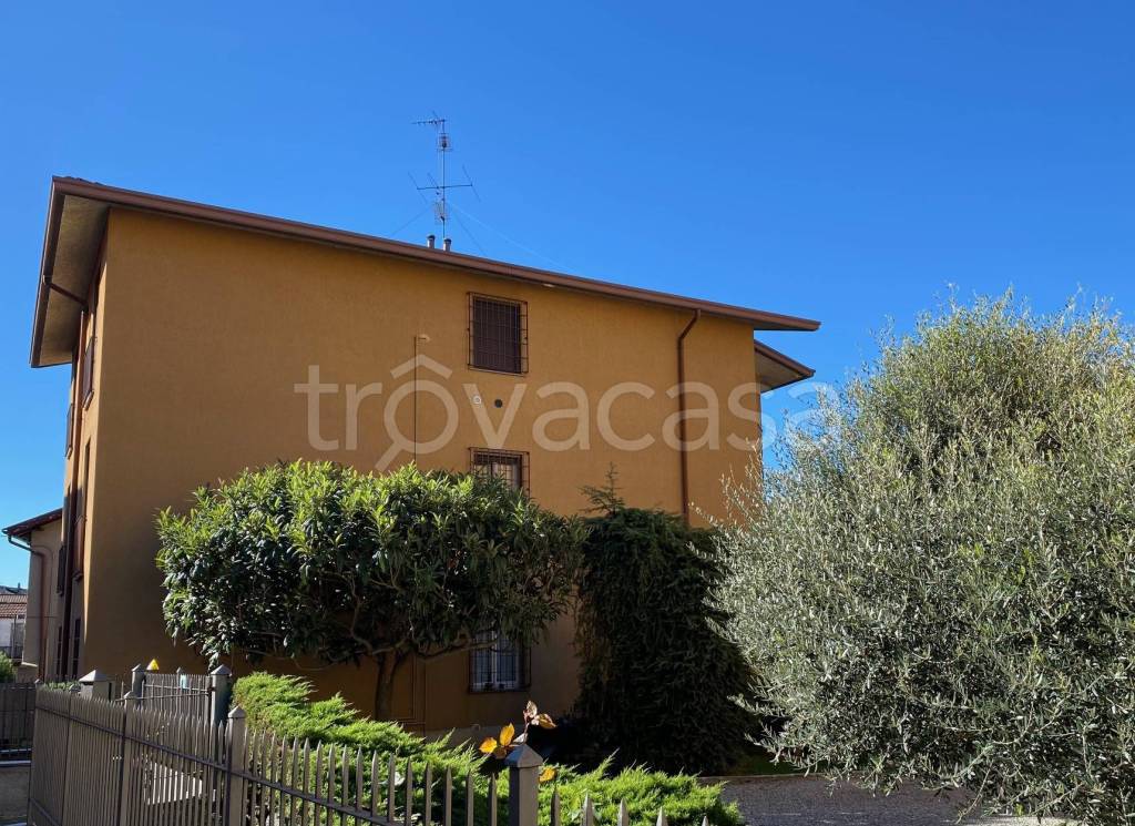 immagine annuncio 4 di 15