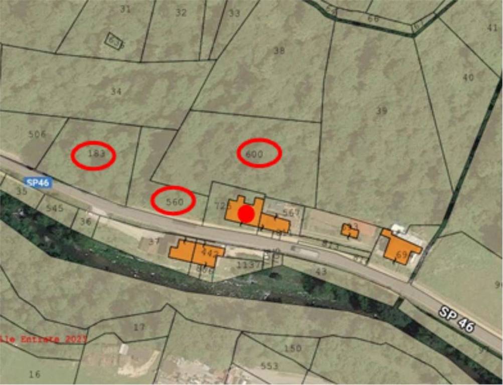 immagine annuncio 5 di 13