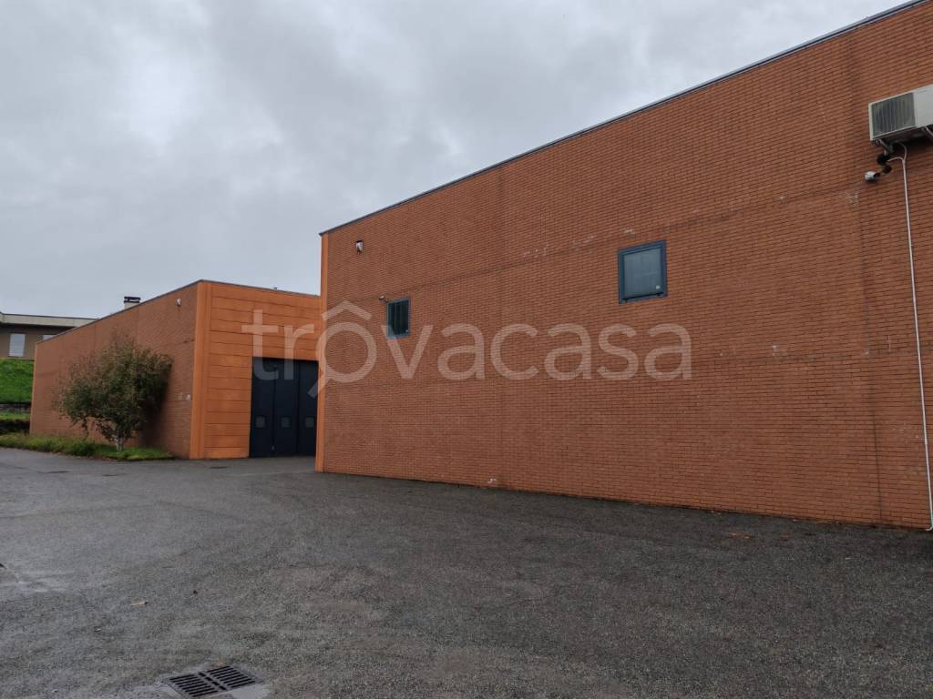 immagine annuncio 1 di 9