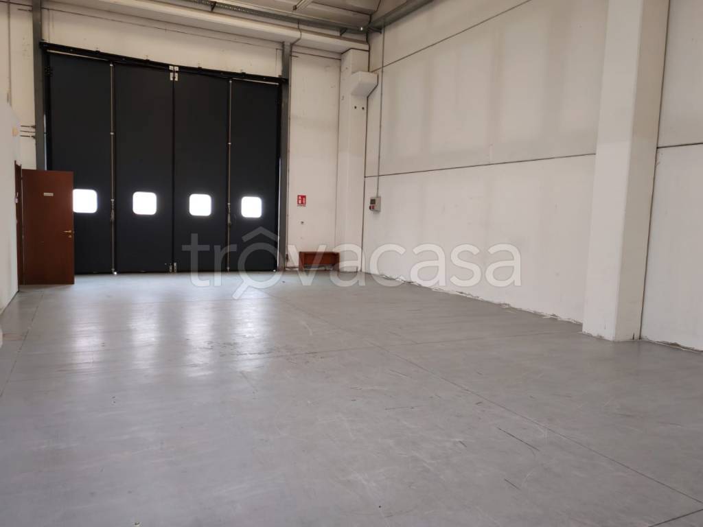 immagine annuncio 2 di 9