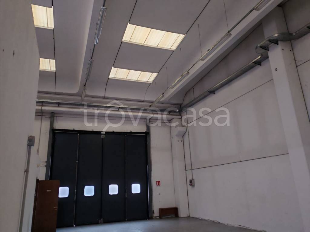 immagine annuncio 3 di 9