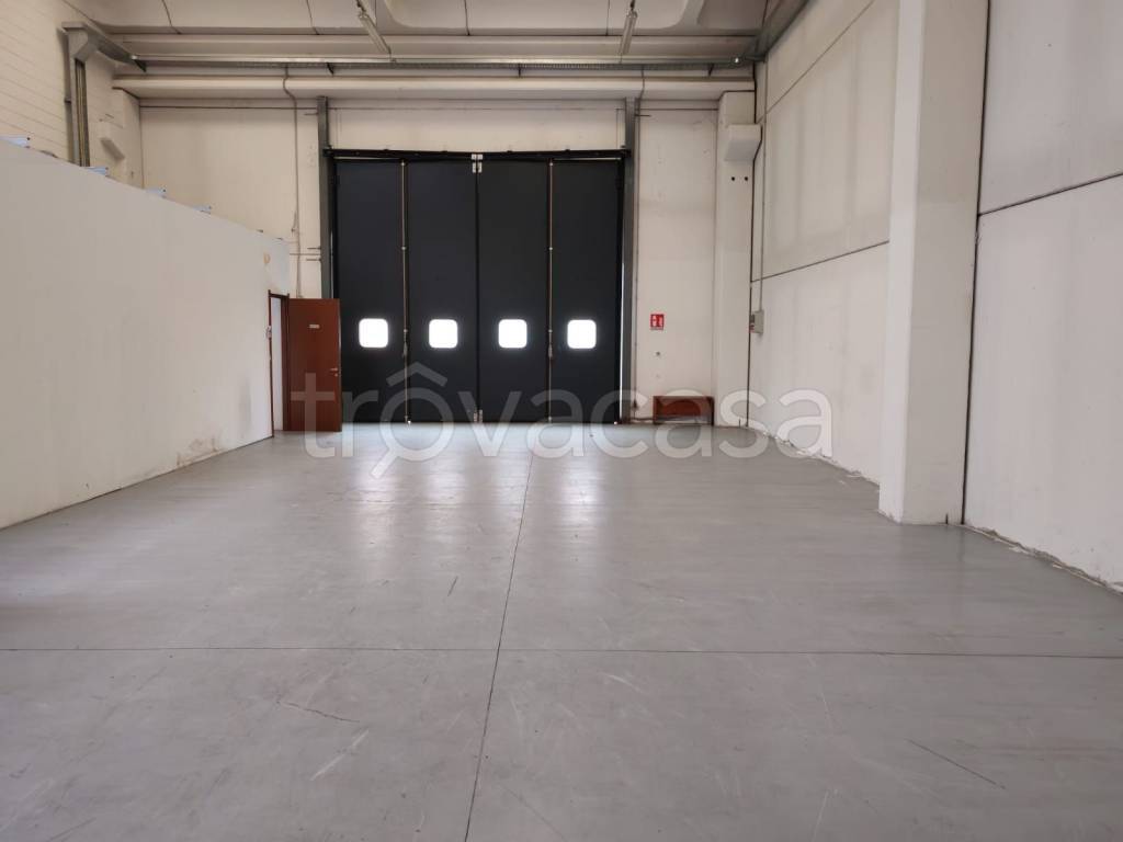 immagine annuncio 5 di 9