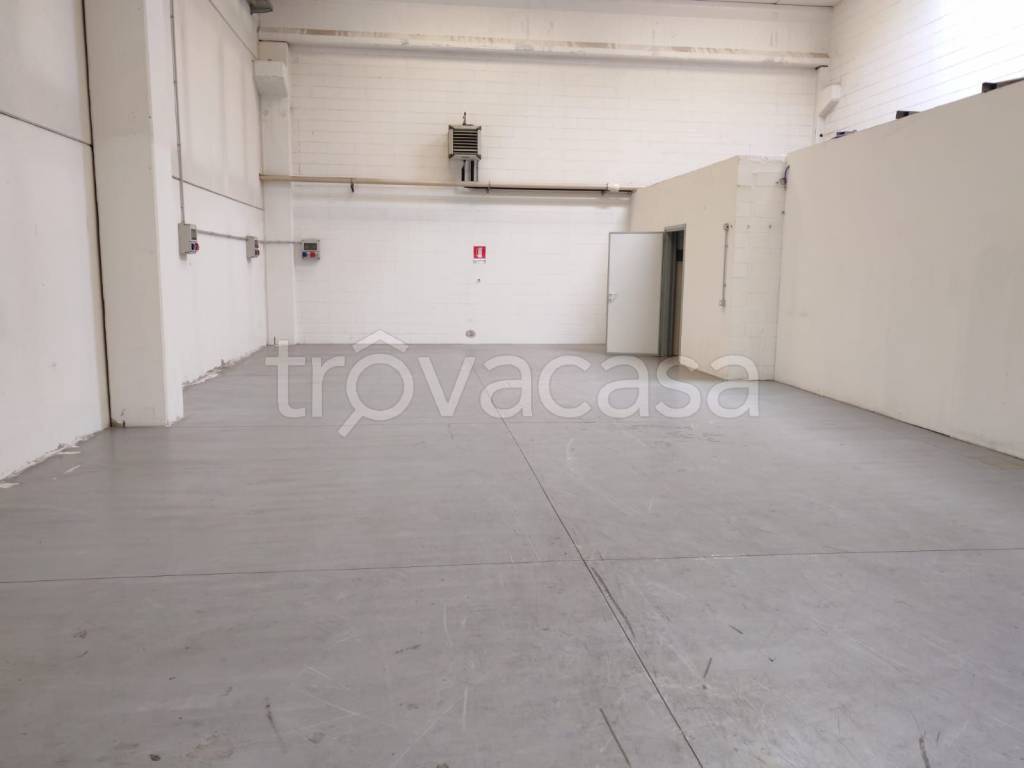 immagine annuncio 6 di 9