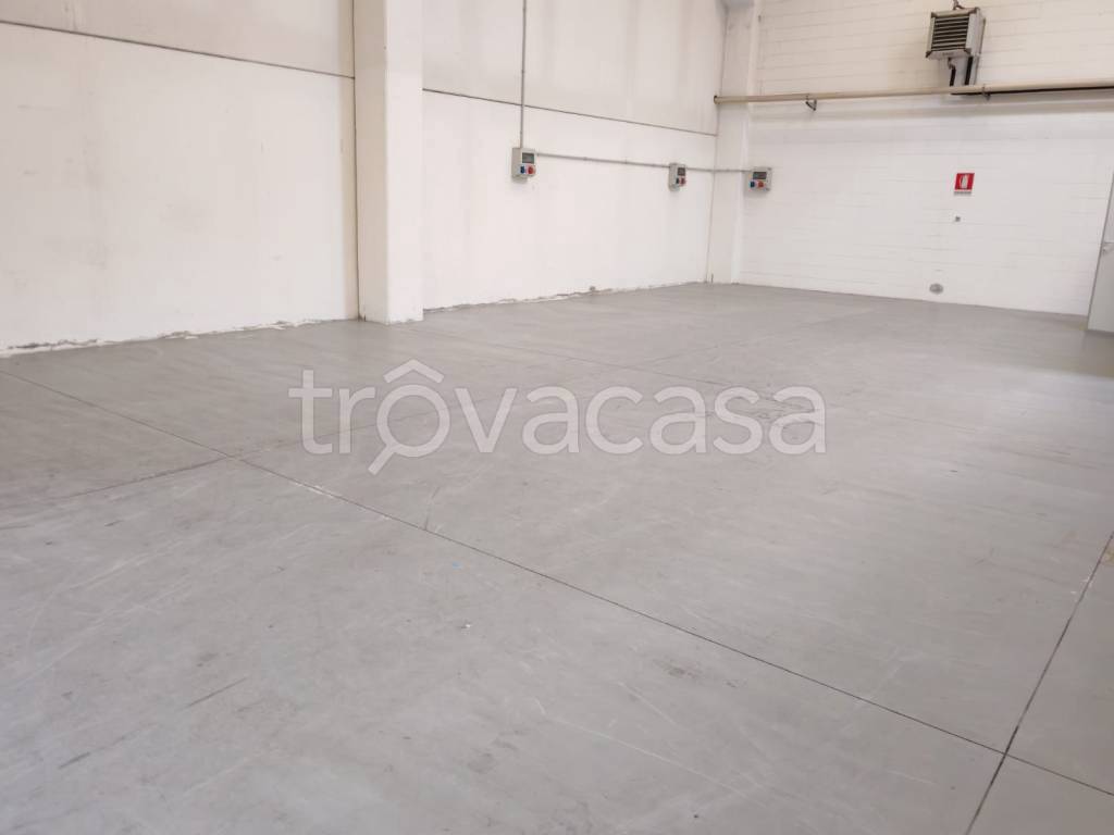 immagine annuncio 8 di 9