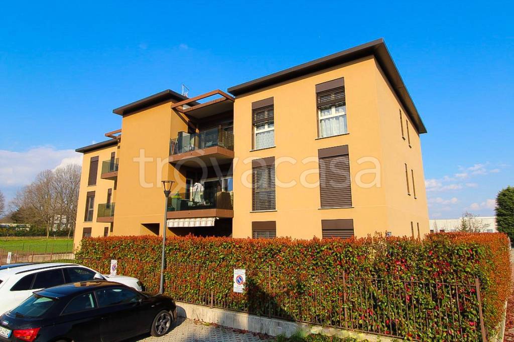 immagine annuncio 6 di 11