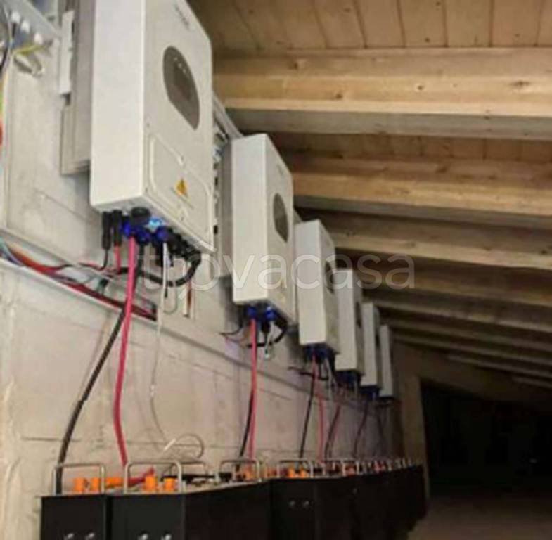 immagine annuncio 5 di 11