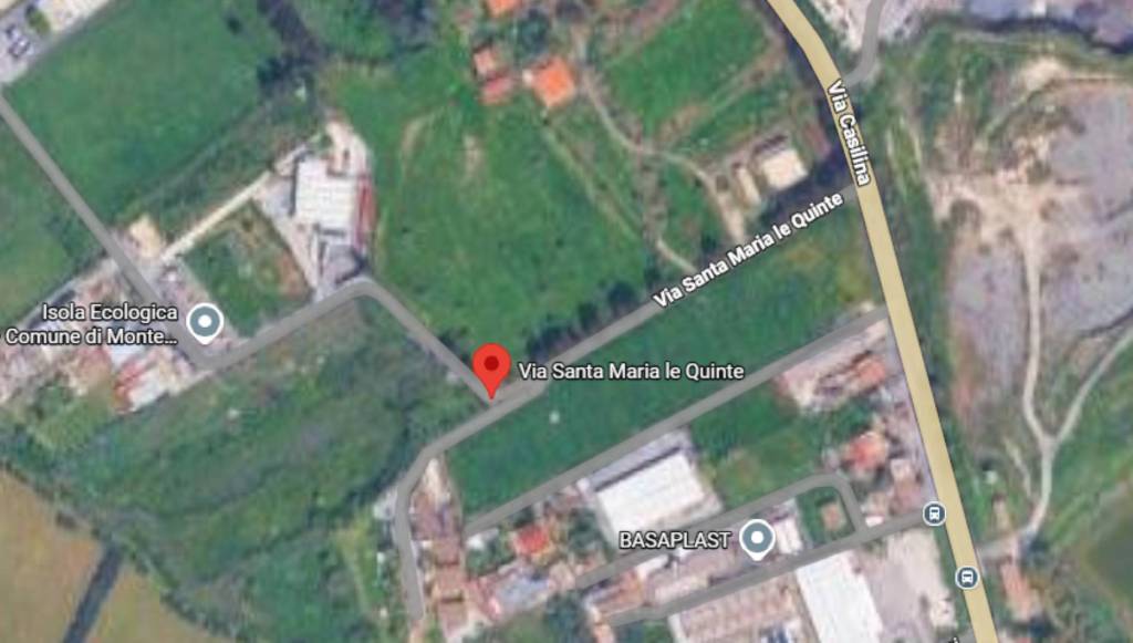 immagine annuncio 3 di 14