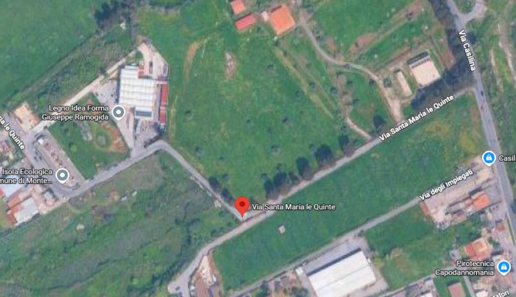 immagine annuncio 4 di 14