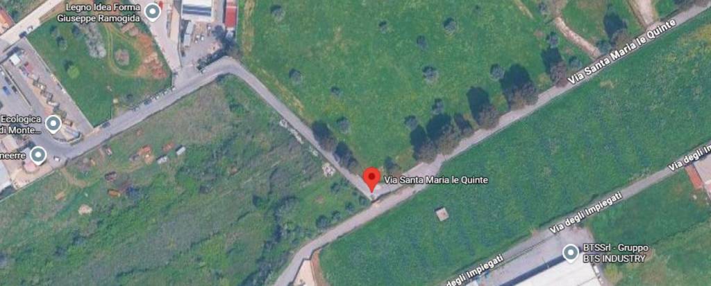 immagine annuncio 6 di 14