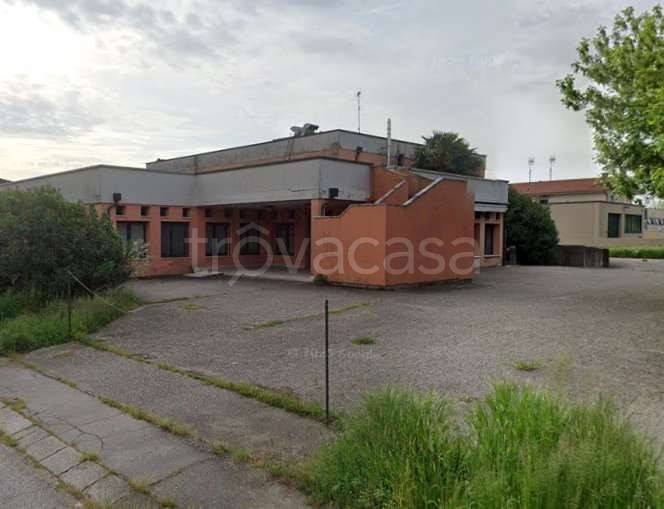 immagine annuncio 1 di 8